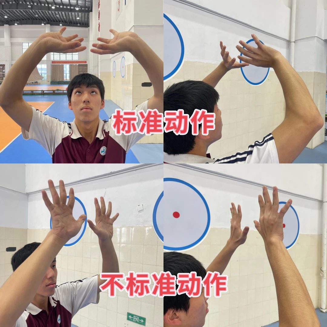 篮球训练器具_0