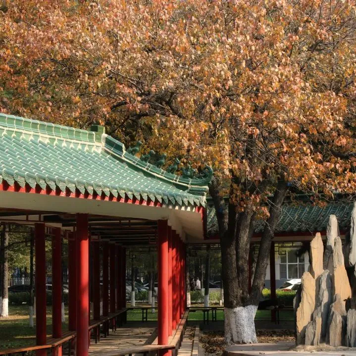 业余爱好者如何在有限时间内追求篮球技能提升_0